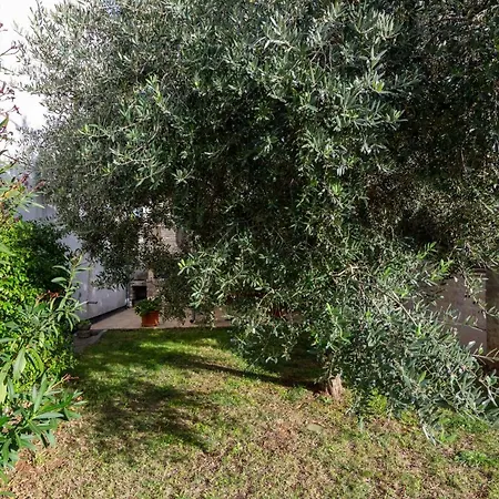 House With A Parking Space Valtura, - 16611