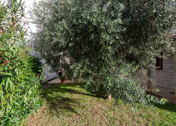 House With A Parking Space Valtura, - 16611